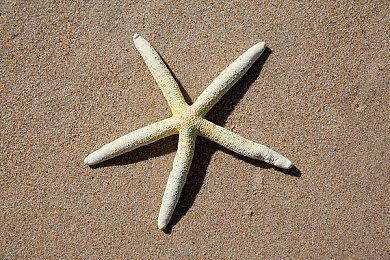 《赛博朋克2077》VR模式Mod演示 计划本周末发布